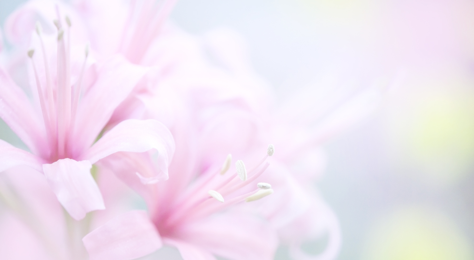 アスハダ（ASHADA）シリーズ｜商品一覧